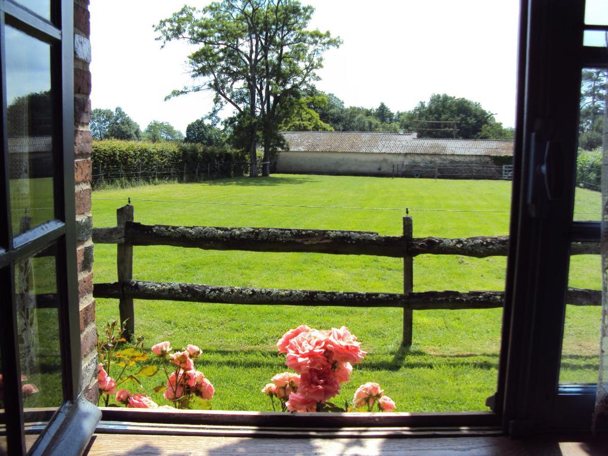 La Pastorale Bed & Breakfast La Puisaye Eksteriør bilde